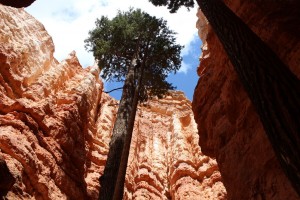 Bryce Canyon